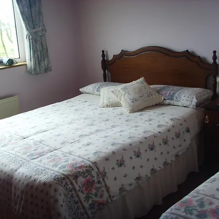 فندق مبيت وإفطار Springfield House 4*