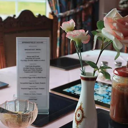 Springfield House Bed and Breakfast
