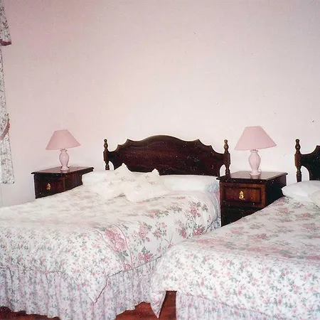 Springfield House فندق مبيت وإفطار كلوناكِلتي