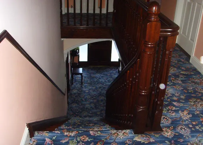 Springfield House Bed & Breakfast