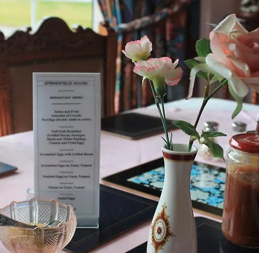 Springfield House Bed & Breakfast